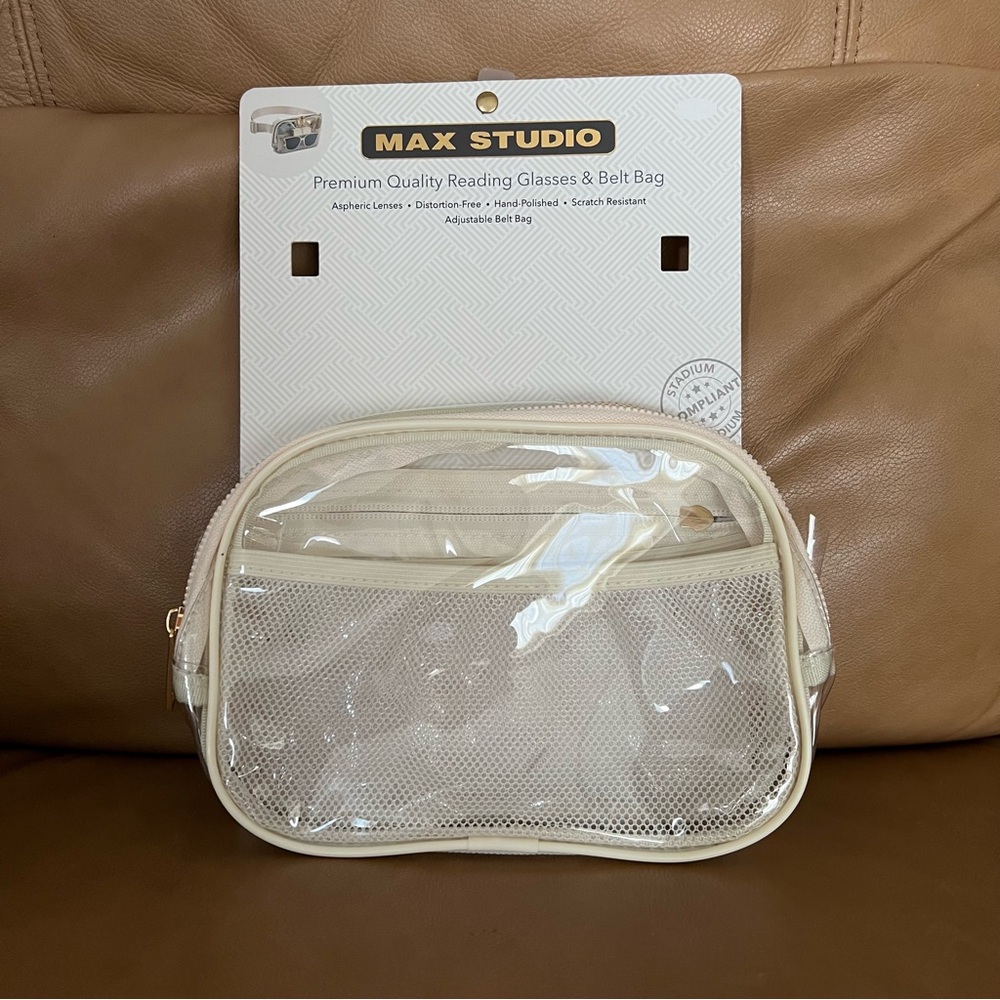 Max Studio Clear Bag